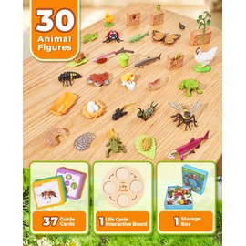 JoyCat Life Cycle Learning Education Toys, Insect Caterpillar to Butterfly kit, Ladybug, Bee, Tadpole to Frog Kit Life Cycle Toys for Kids, Preschool Learning Activities for Kids (Animals and Plant)