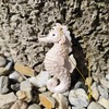 Vivid Arts - Seahorse Hanging Ornament - Indoor Outdoor (2,