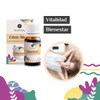 Citric Blend | Aromaterapia para Difusor | Despierta tus Sentidos