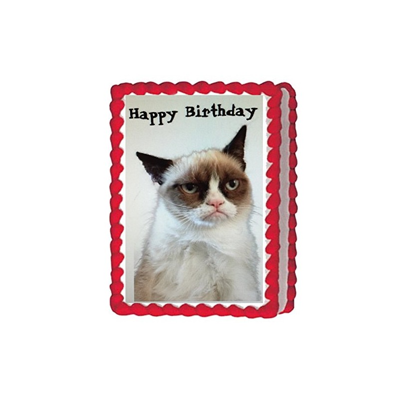 Grumpy Cat Edible Cake Image Topper 1/4 Sheet Decoration Birthday