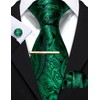Barry.Wang Men's Plain Paisley Tie Satin with Pocket Square Wedding