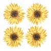 Sunflower Coaster Set