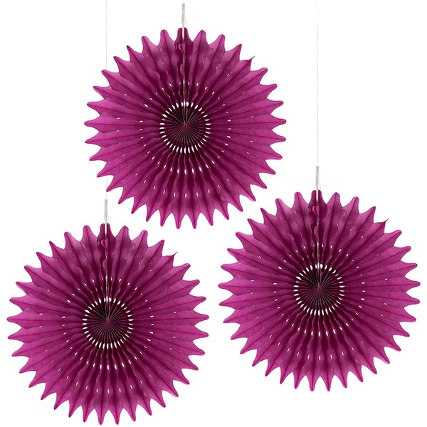 Floral Reef Set of 3-8" PLUM Paper Tissue Rosettes Fan Medallions Hanging Home Decoration Wedding Party (3 Pack)