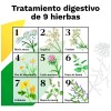 Iberogast Medicina Herbolaria Colitis Y Gastritis 100 Ml