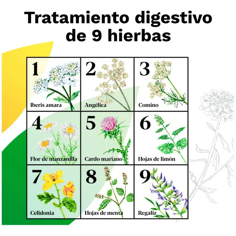 Iberogast Medicina Herbolaria Colitis Y Gastritis 100 Ml