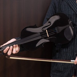 Full Size 4/4 Acoustic Violin Set,Beginner Violin Vintage Solid Wood Violin Starter Kit with Carrying Case,Bow and Rosin (Black 1)