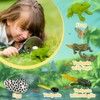 Life Cycle Figurines of Monarch Butterfly and Realistic Frog Toy