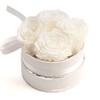 Rosmarie Schulz Heidelberg Rose Box, White Round Infinity Rose, Flower