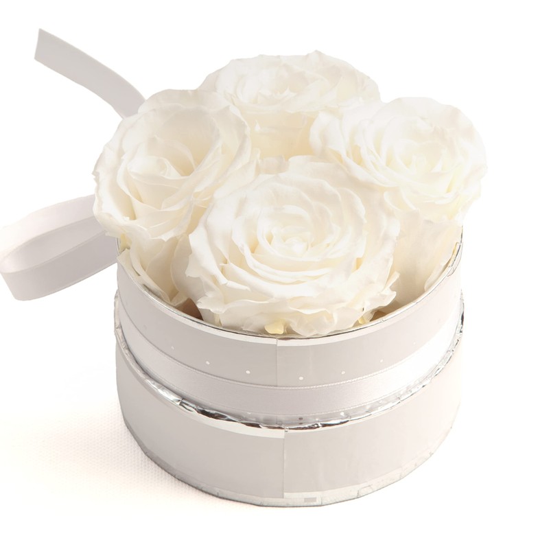 Rosmarie Schulz Heidelberg Rose Box, White Round Infinity Rose, Flower