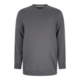 Alca Sweatshirt with Crew Neck for Men with Plus Size Waist Circumference XL-8XL Men's Sweater with Crew Neck Grey, gray