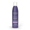 Loquay Pure Silver Shampo para canas, Plata, 250 ml