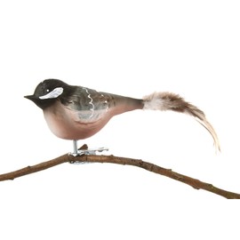 glass bird "Coal Tit", with natural feather tail