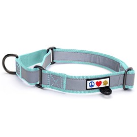 Pawtitas Martingale Dog Collar Puppy Collar Reflective Dog Collar Training Dog Collar Behavioral Dog Collar Medium Dog Collar Teal Dog Collar