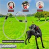 16Ft Chew Proof Retractable Dog Leash Anti-Chewing Wire Ropes Hands-Free