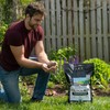 Jonathan Green (11354) Mag-I-Cal Plus Soil Food for Lawns in