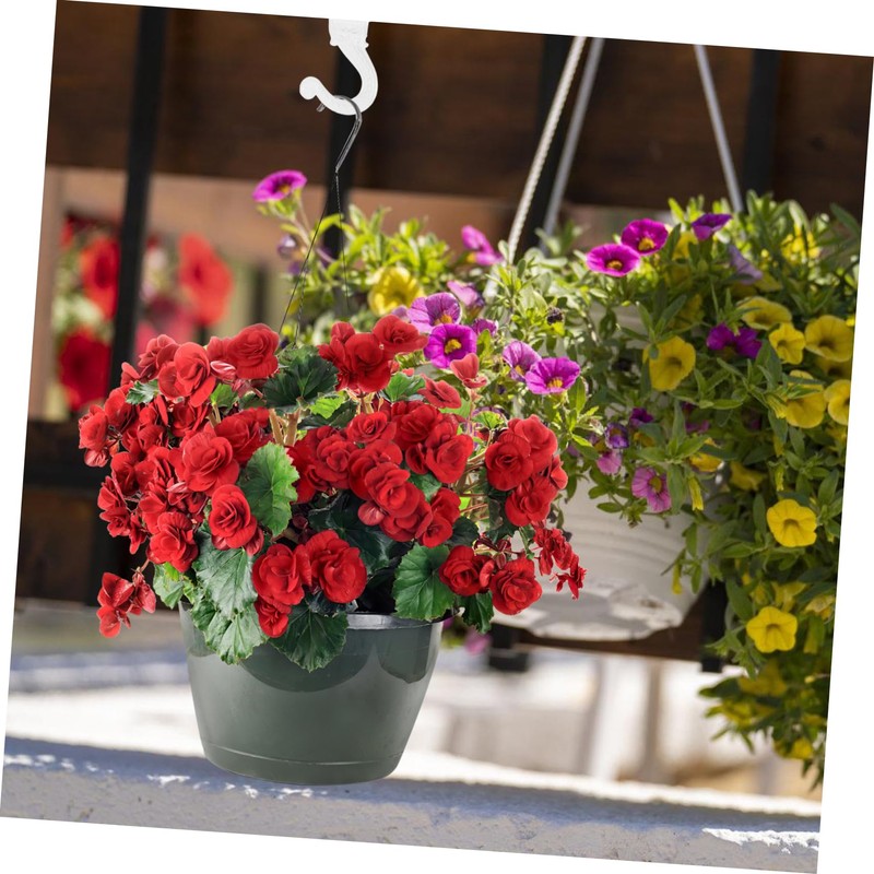 Levemolo 8 Sets Heavy Duty Ceiling Hooks for Hanging Plants