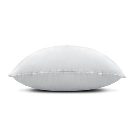 EDOW Throw Pillow Inserts, Set of 2 Lightweight Down Alternative Polyester Pillow, Couch Cushion, Sham Stuffer, Machine Washable. (Grey, 16x16)