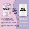 She Fit Women Creatine | Creatina Para Mujer | Sin