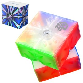 GAN 251 Air (10th Version) 2x2 Magic Cube Magnetic Speed Cube GAN251 Air M Magic Puzzle Stickerless 2x2x2 Goose Cubes