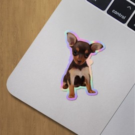 Holographic Decal Stickers of Cute Dog Premium Waterproof Vinyl Decal Stickers for Laptop Phone Accessory Helmet Car Window Mug Tuber Cup Door Wall Decoration ANDVER3g9449aHO
