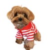 Cute Dog Clothes Striped Dog Polo Shirts Cute Sweater Puppy