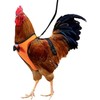 Adjustable Chicken Harness Diaper (5.4ft Leash) – Breathable & Washable