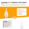Frosted E12 Candelabra LED Bulbs- Dimmable E12 Light Bulb 40