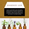 Essence-Lux 10ml Oils - Vanilla Essential Oil - 0.33 Fluid