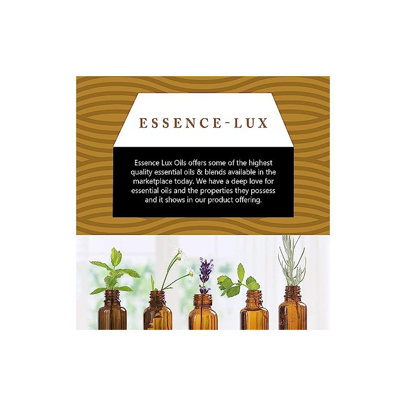 Essence-Lux 10ml Oils - Vanilla Essential Oil - 0.33 Fluid