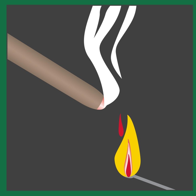 PIC CIT STK Citronella Sticks, green