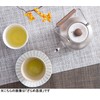 Miyazaki Seisakusho CHA-4 Teapot with Tea Strainer, No Fire Induction,