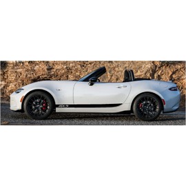 ORACAL Solid Vinyl Door Stripe Stripes fit Mazda Miata MX-5 MX5 NC ND Decal Decals