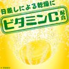温泡 瀬戸内レモン 入浴剤 アソート 12錠入 メントール配合 炭酸入浴剤 アロマ 詰め合わせ リラックス
