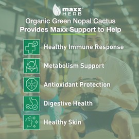 Maxx Herb Green Nopal Cactus Capsules (180 Veggie Capsules)