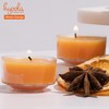 HYOOLA Scented Tealight Candles - Clear Cup - Winter Orange
