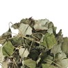 Donguihanjae 동의한재 국산 어성초 300g x 2개 Donguihanjae Domestic Artemisia