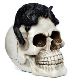 Puckator Skull with Black Cat Ornament - Home Decoration - Skull With Black Cat - Ornaments - Resin - Home Accessories - Living Room Accessories - Human Skeleton - Goth Gifts For Men