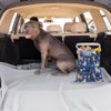 DELORIGIN Verschiedene Hunde Auto Müllbeutel Hängender Müllbeutel Mit Druckknöpfen Müllaufbewahrung