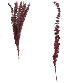 VOSTEEN 1 x Eucalyptus Branches 70 cm Dark Red – Table Decoration Confirmation Elegant Look & Preserved – Easter Shrub Branches Dry Bouquet