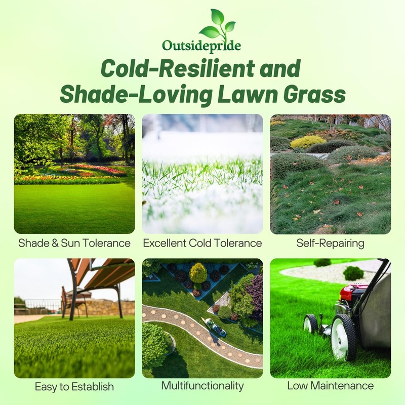 Outsidepride Creeping Red Fescue Grass Seed - 10 Lbs. Cool