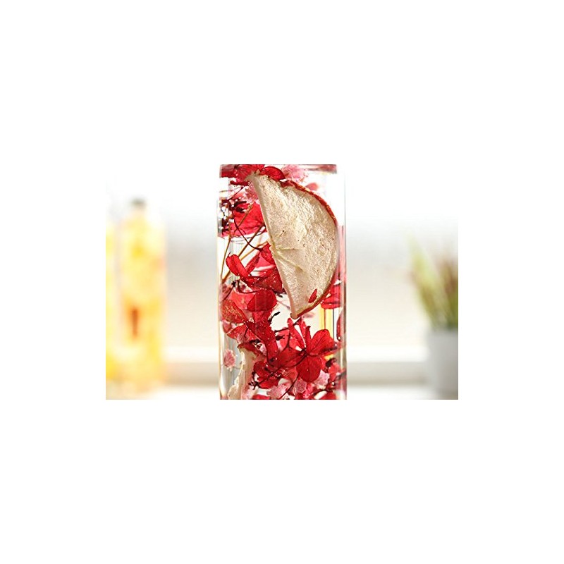 Hortus siccus Red Colors Series 紫陽花 Apples Gypsophila Herbarium