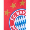 FC Bayern München Bed Linen | Logo | Red |