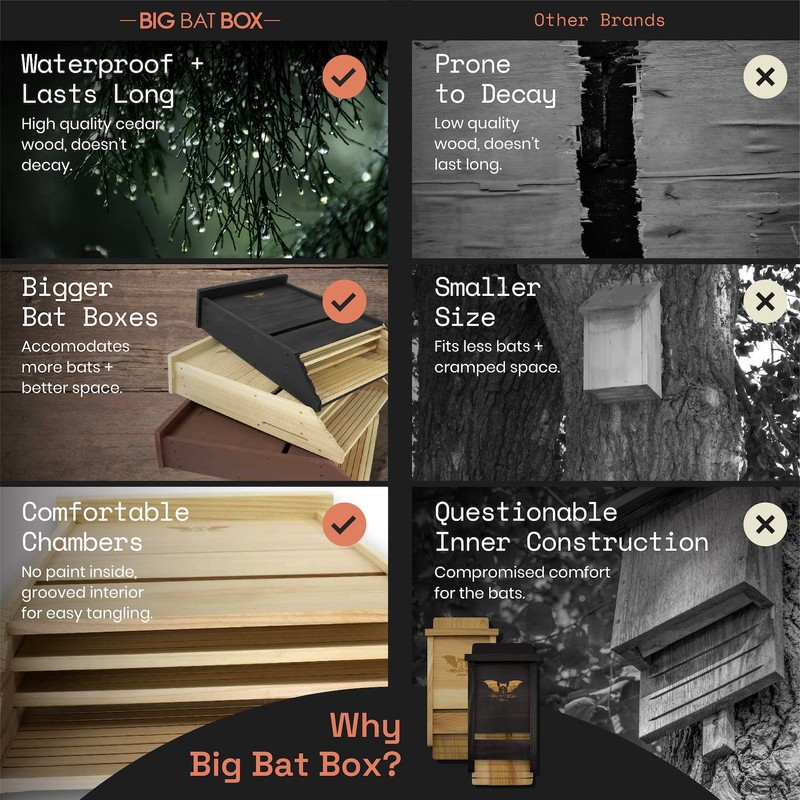The Complete Bat House for Outdoors - Clean Your Backyard
