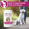 Vet Classics Re-Flex Ultra Extra-Strength Joint Support Dog Supplement –