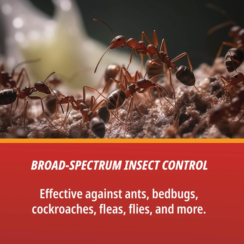 CSI - 10036000373902 - D-FENCE SC - Insecticide - 16oz