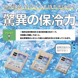 LOGOS Below Freezing Ice Pack GT Minus 16 Degrees Hard 900 