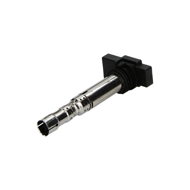 Beru AG 0040102031 Ignition Coil