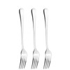 Qinglele Set of 3 Stainless Steel 304 Dinner Forks, Table