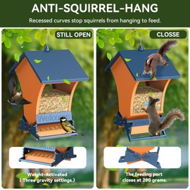 Wildpark Squirrel Proof Bird Feeders for Outdoors, 5LB Metal Hanging Feeders, Large Wild Feeders for Cardinals, Chickadees, Durable Backyard Feeders-One in Orange