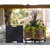 DeVaultEnterprises DEVSQH16BL Black 16" Square Plant Dolly with Handle